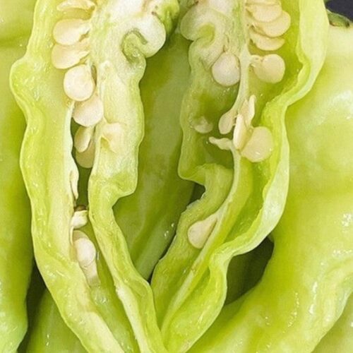 5斤装新鲜白米椒野山椒云南特辣小米辣泡椒剁椒朝天椒现摘现发
