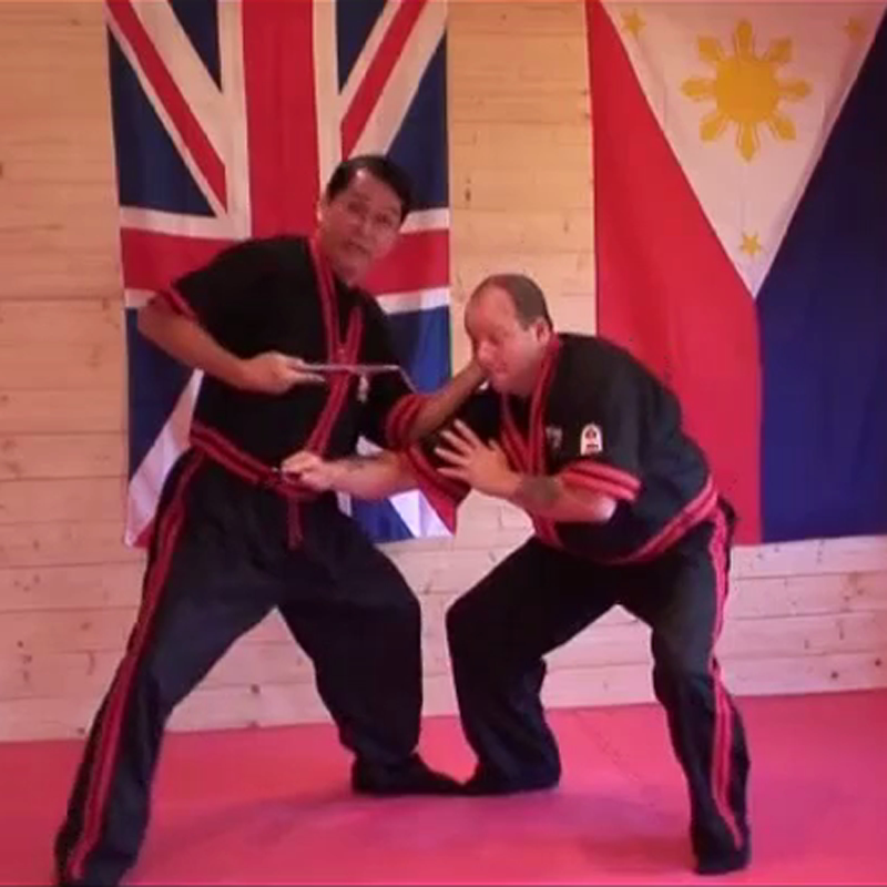 菲律宾棍术rene tongson街头防卫近身打斗短棍刀法扇形打击教程