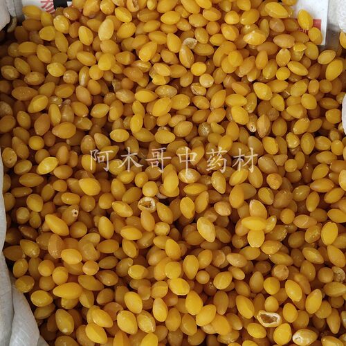 白果仁 1000克包邮 白果干货银杏果 新鲜白果仁散装 银杏果 干货