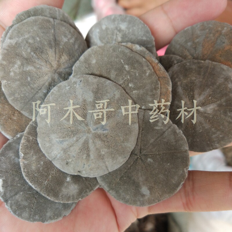 海金钱 500克包邮 中药材 正品泡酒料 男人泡酒佳品 煲汤料