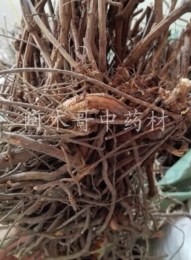 白花丹根 500克包邮 全根白花丹根 一见消根 百花丹根 白雪花野生