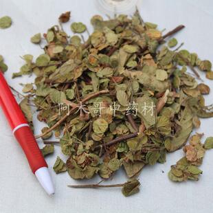 排钱草 500g包邮 毛排钱草 龙鳞草 叠钱草 双排钱 钱串草 钱排草