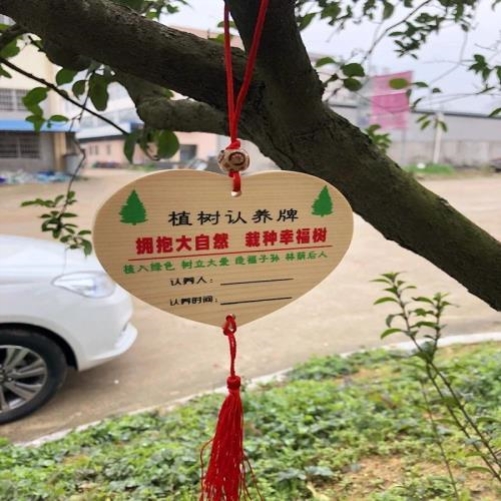 植树节挂牌树牌装饰创意木牌挂牌植树挂认养牌木吊牌实木可印log