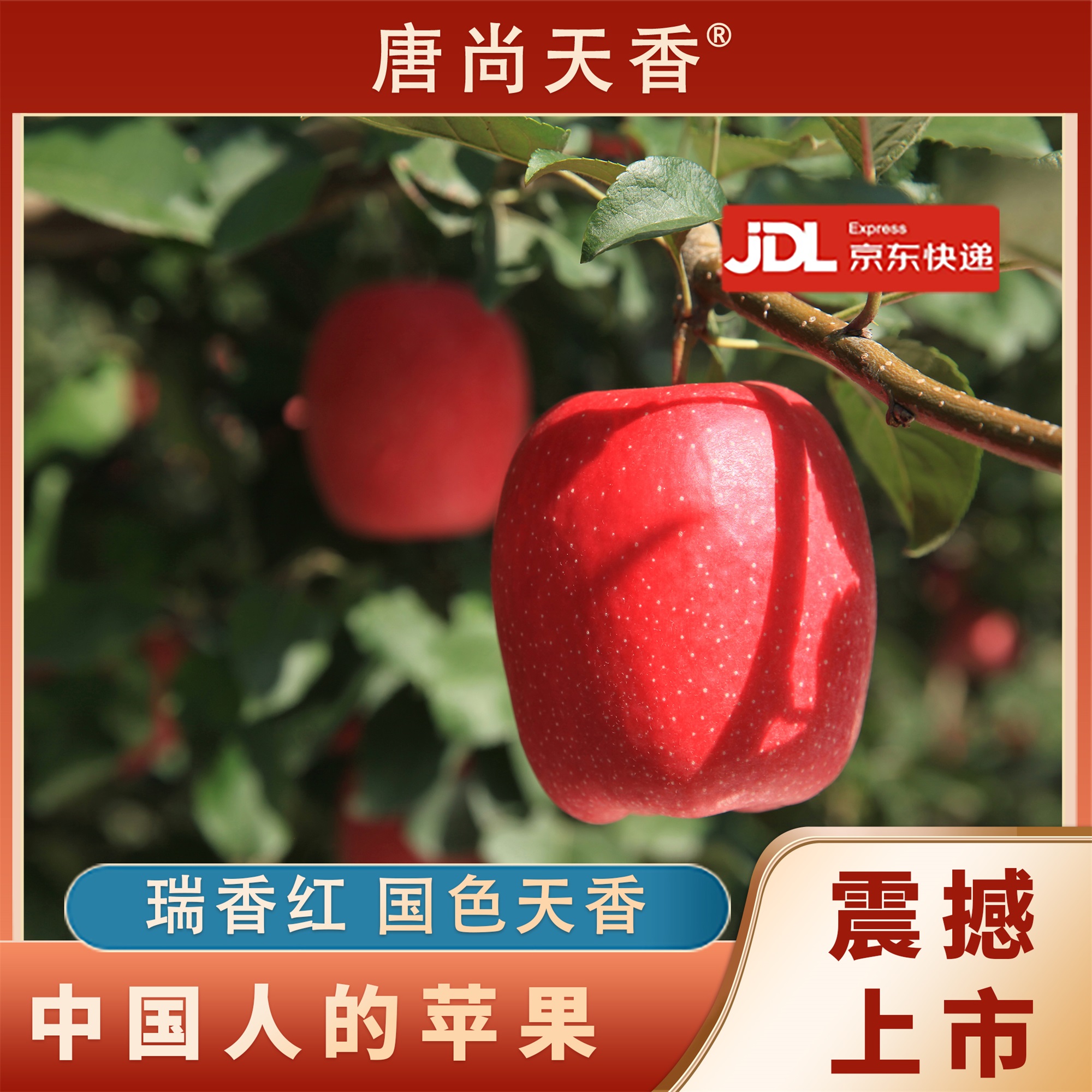 木美土里瑞香红苹果二级果3-5斤