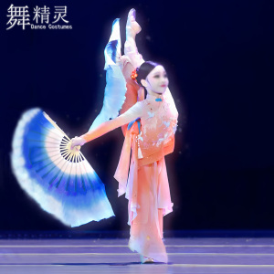 蝶舞花霓舞蹈服少儿古典扇舞艺考