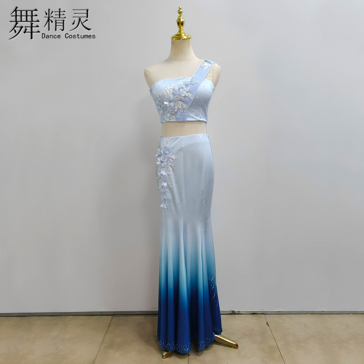 傣族舞蹈服孔雀舞大摆裙包臀艺考