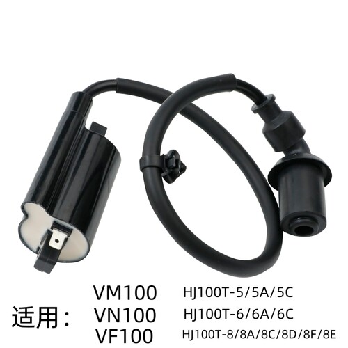 VM100VNVF100高压包点火线圈