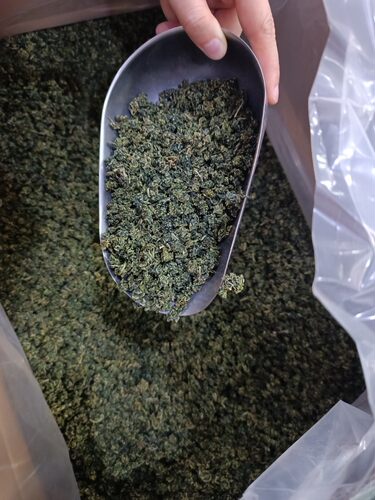 宁夏中宁枸杞芽尖茶叶不含茶叶碱养生茶 一款可以吃的保健茶