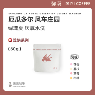 风车庄园 绿瑰夏非竞标批次精品手冲咖啡豆 厄瓜多尔COE冠军 弥翼