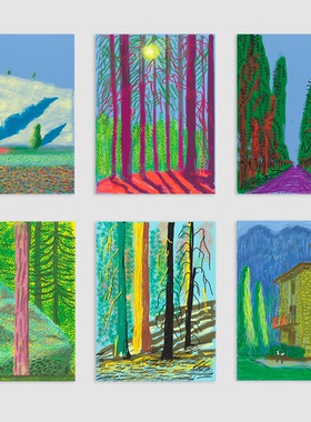 大卫霍克尼DavidHockney抽象风景手绘波普艺术风格海报油画布画芯