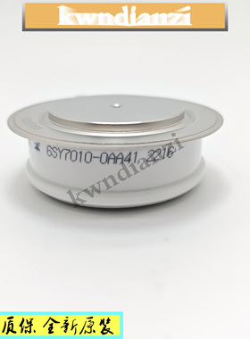 全新原装模块6SY7010-0AA41 6SY7010-0AA46 6SY7010-0AA47进口