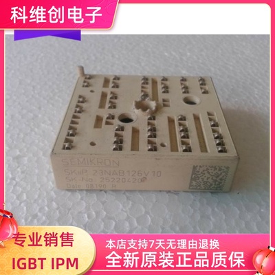 SKIIP23NAB126V1 SKIIP23NAB126V10 SKIIP24NAB126V1原装