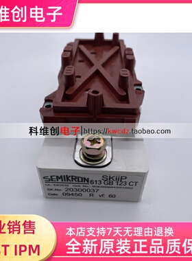 全新SKIIP603GB123CT SKIIP603GB172CT SKIIP613GB123CT现货质保