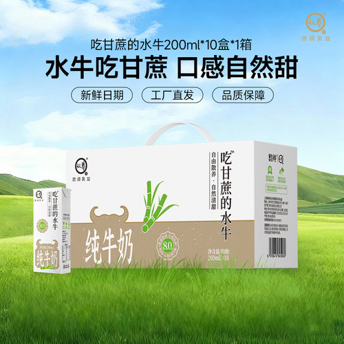 认养悠纯吃甘蔗的水牛奶