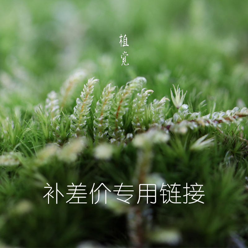 植觉差价链接植物产品