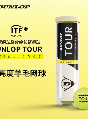 DUNLOP邓禄普网球加亮网球练习比赛用球TOUR BRILLIANCE 2025新球