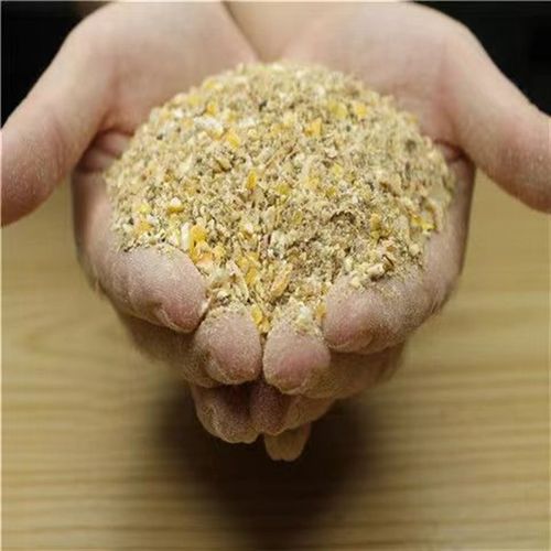 纯白鸡宠物鸡白羽鸡红羽观赏鸡成年鸡下蛋鸡花柴鸡老品种鸡