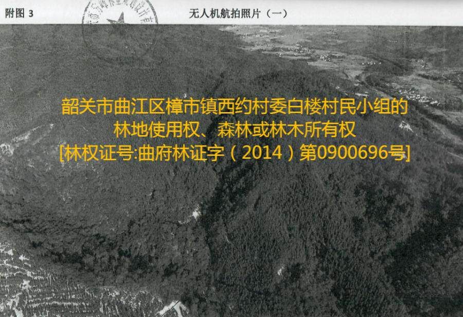 韶关市曲江区樟市镇西约村委白楼村民小组的林地使用权、森林或林木所有权