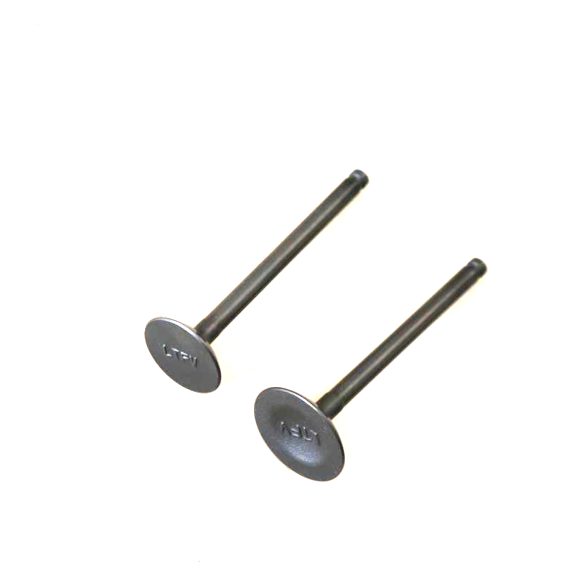 小海豚QS110T-3进排气门阀钉