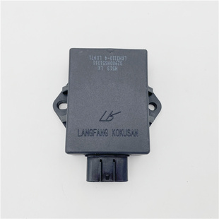 适用铃木喜运HJ110-A/-E/2/2A/2C/2D弯梁车直流点火器点火装置CDI
