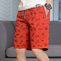 5019 кирпичный красный