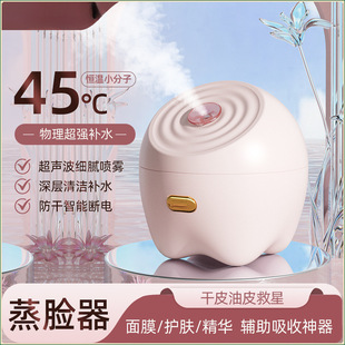 热雾润肤吸收热喷蒸脸器家用纳米脸部喷雾补水仪深度清洁神器保