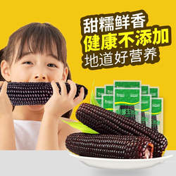 忻州糯玉米新鲜2025头茬黑玉米真空装包紫粘玉米代餐东北糯米粗粮