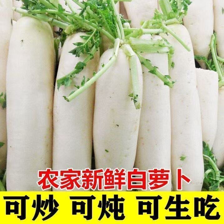 河南新鲜白萝卜农家自种现挖现发白萝卜农家自种现挖现发白萝卜
