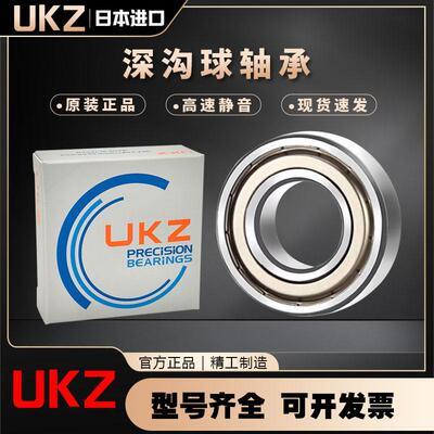 UKZ进口电机轴承601660176018