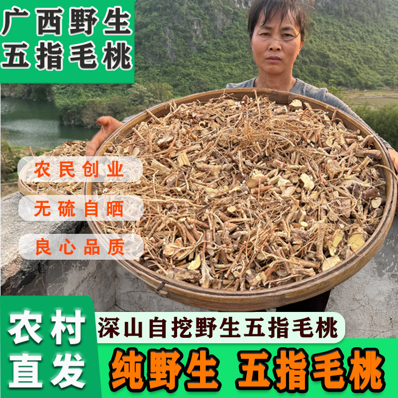 广西深山野生五指毛桃