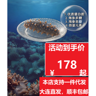 即食海参辽宁大连刺参鲜蒸500克单只独立包装非鲜活海参厂家直销