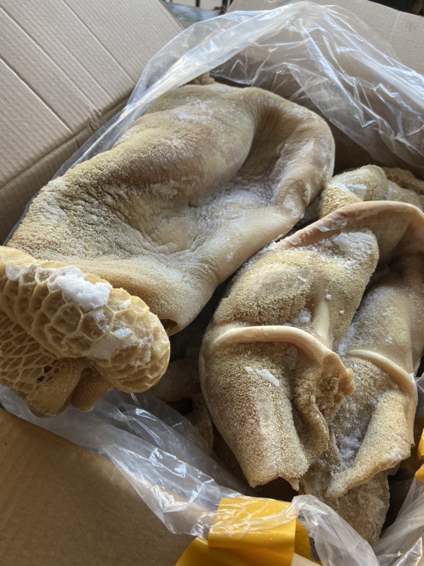 鲜冻牛肚纯干熟度高每件重约35斤至42斤按实际重量出货多退少补