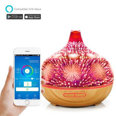 亚马逊Alexa多功能智能家