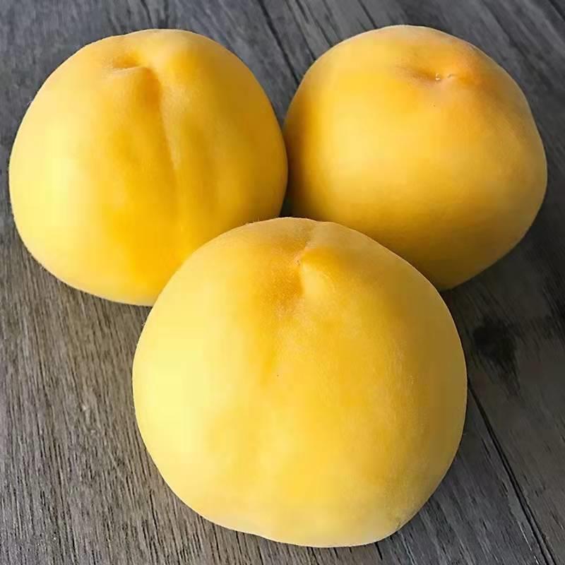 晚熟桃树苗新品种嫁接黄桃树苗北方果树耐寒耐冻桃树树苗超甜