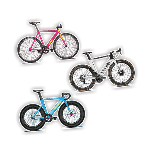 Arena pista Ardently  Canyon自行车图案反车贴定制贴纸6270