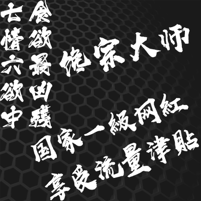 汉魂贴纸适用网络红语一级享受流量津贴搞笑定制反光车贴定做0808