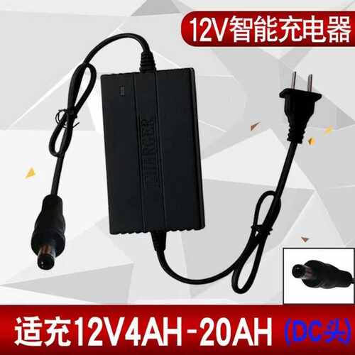 20A圆头智能充电器12V全新