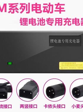 适用爱玛电动车电瓶车48V12AH54.6V2A3A5A锂电池锂离子通用充电器