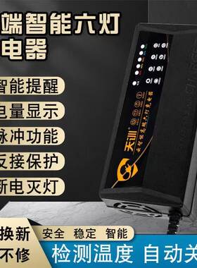 48v12ah60v20a72电车三轮车专用