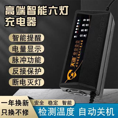48v12ah60v20a72电车三轮车专用