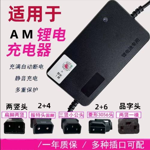爱玛电瓶车48V12AH锂电池充电器