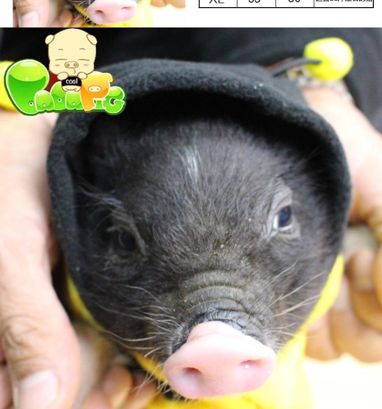 Biga lợn siêu dễ thương lợn nhỏ quần áo thú cưng lợn lợn quần áo lợn lợn áo len nhỏ Xiang lợn cung cấp giải phóng mặt bằng - Quần áo & phụ kiện thú cưng áo thú cưng