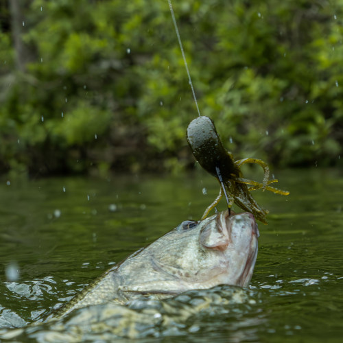 美国Big Bite Baits Flat Tube管状虫扁平头鲈钓深水浅水路亚假饵