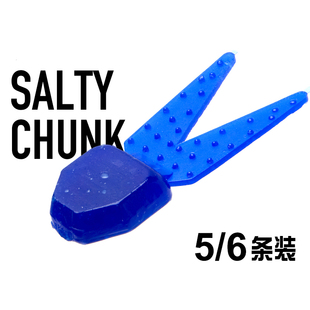 2.5 JIG拖尾大嘴小嘴鲈鱼ZOOM Salty Chunk沉水路亚软饵2 3.25
