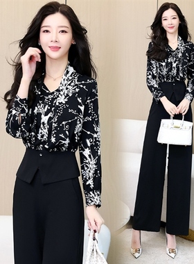 新品秋季 气质两件套T8817TZ