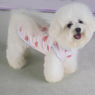 狗狗衣服秋冬装 保暖背扣棉衣两脚背心 泰迪比熊博美小型犬宠物冬季