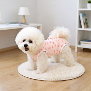 狗狗衣服护肚衣纯棉春秋绝育服母狗泰迪比熊博美宠物术后服包肚衣