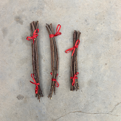 天然野生桃木枝桃树枝