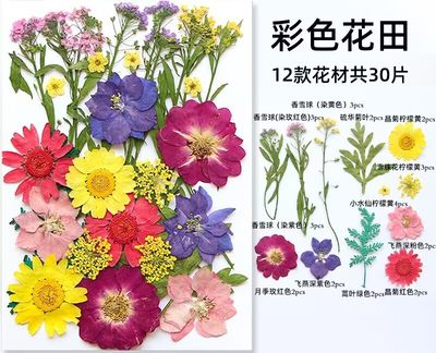 DIY押花混合干花手工滴胶压花