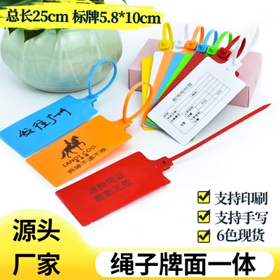 一次性塑料封条物流吊牌电缆标签